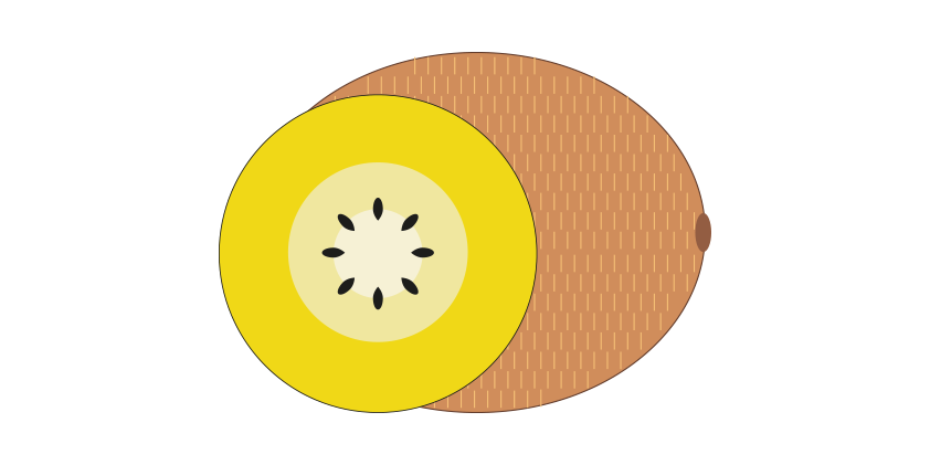 Gelbe Kiwi<br>(1,5 kg Tüte)